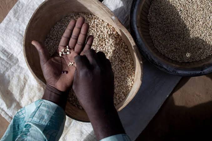 developpement-mali